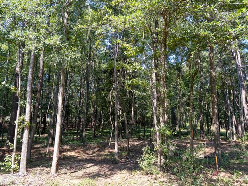 5 Acres Ray St., Prentiss, MS, 39474 | Card Image