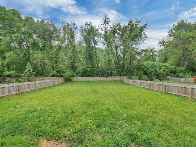Backyard | Image 22