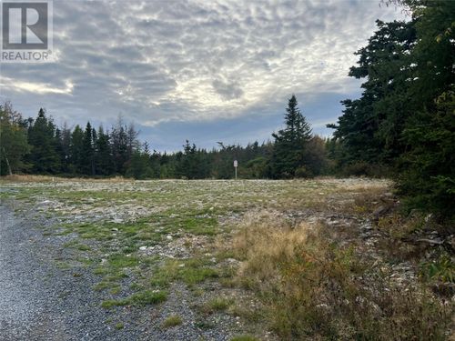 72 Gully Path, Harbour Grace, NL, A0A0C9 | Card Image