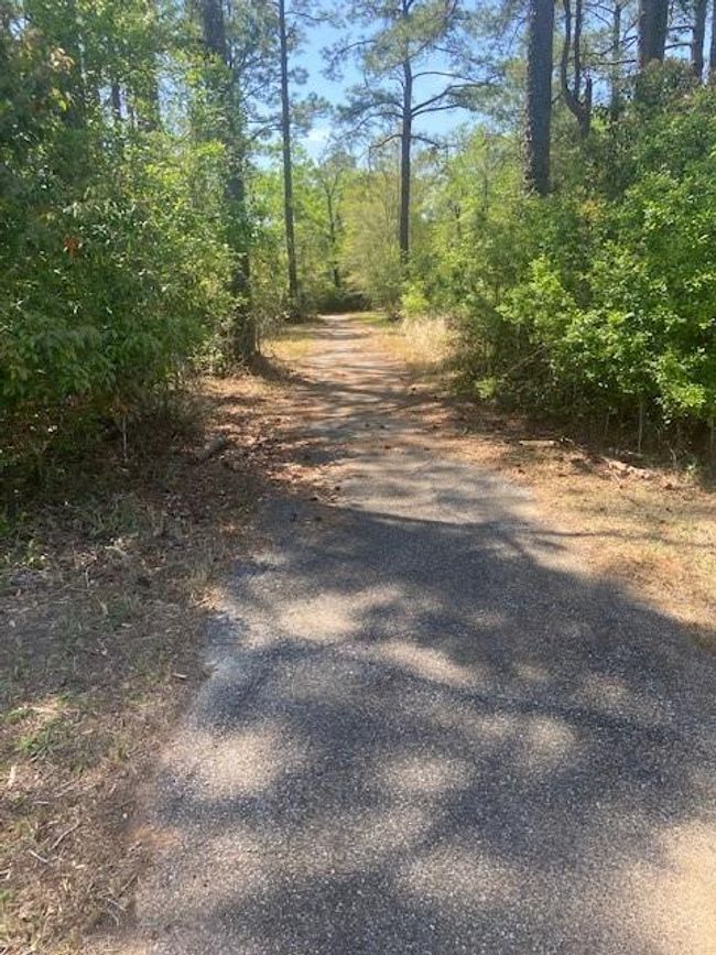 3851 River Rd, Home with 0 bedrooms, 0 bathrooms and null parking in Theodore AL | Image 9