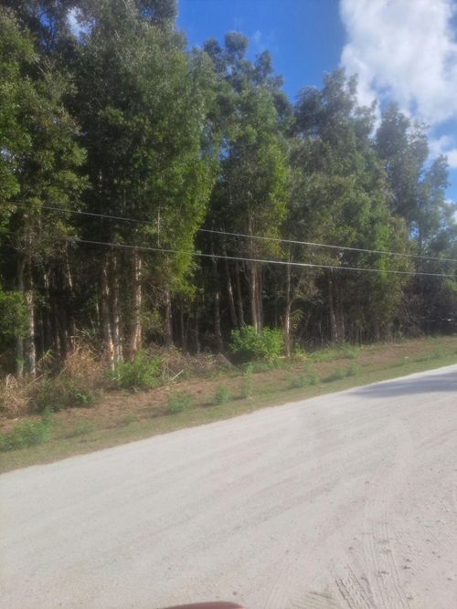 14845 62nd Ct N, Loxahatchee, FL, 33470-4540 | Card Image