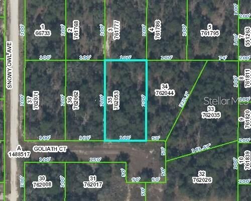 0 Goliath Ct, BROOKSVILLE, FL, 34614 | Card Image