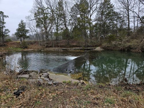 0 Don Bruce Ct, Christiana, TN, 37037 | Card Image