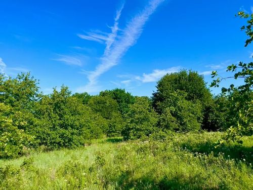 Lot 53 Wicklow Ct, Poolville, TX, 76487 | Card Image