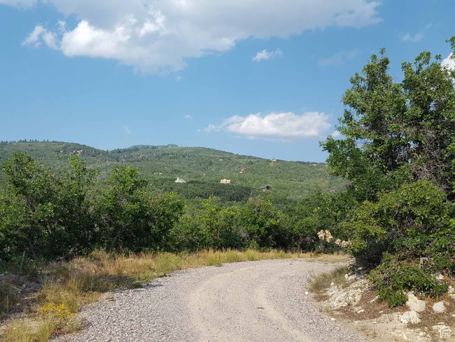 View of dirt / gravel road featuring a forest view and a mountain view | Image 4