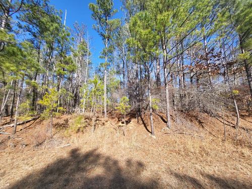 Lot 81 Old Ferry Rd, Sparta, GA, 31087 | Card Image