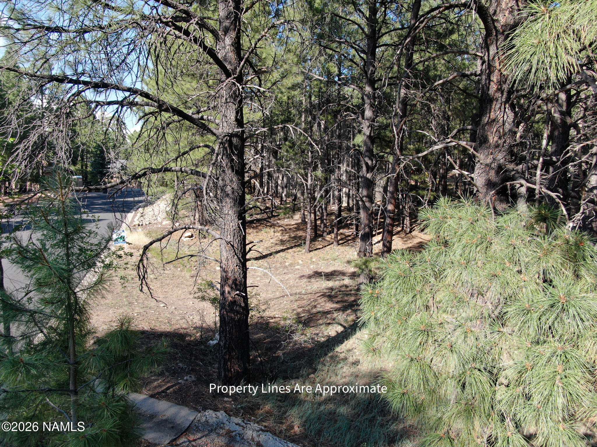 Land in Flagstaff 4