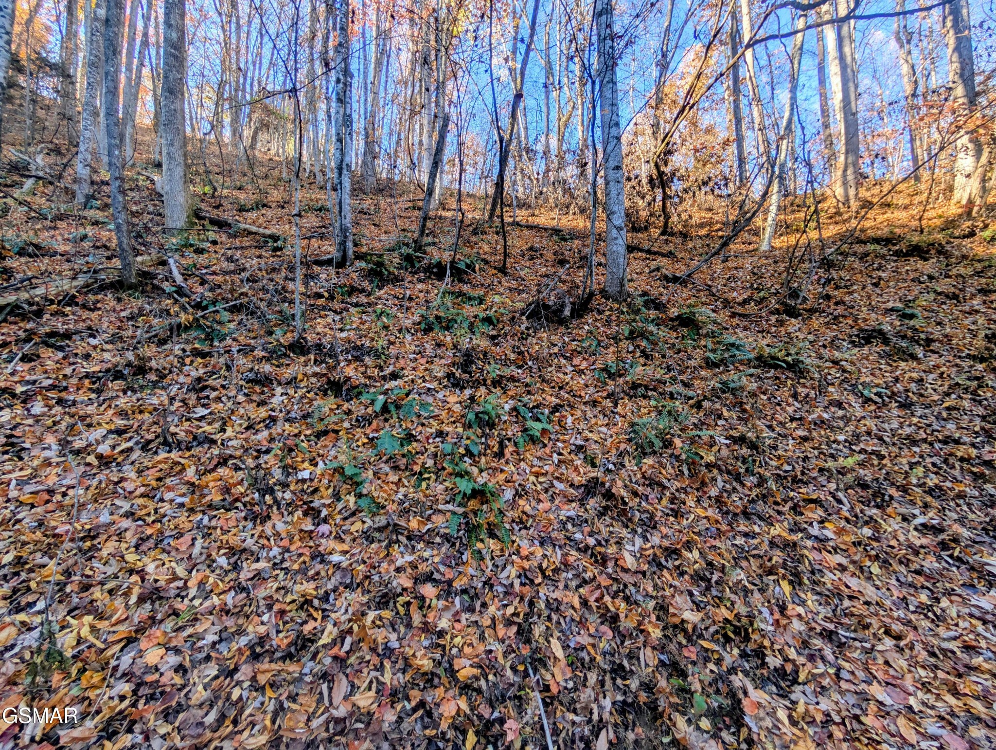 Land in Sevierville 3