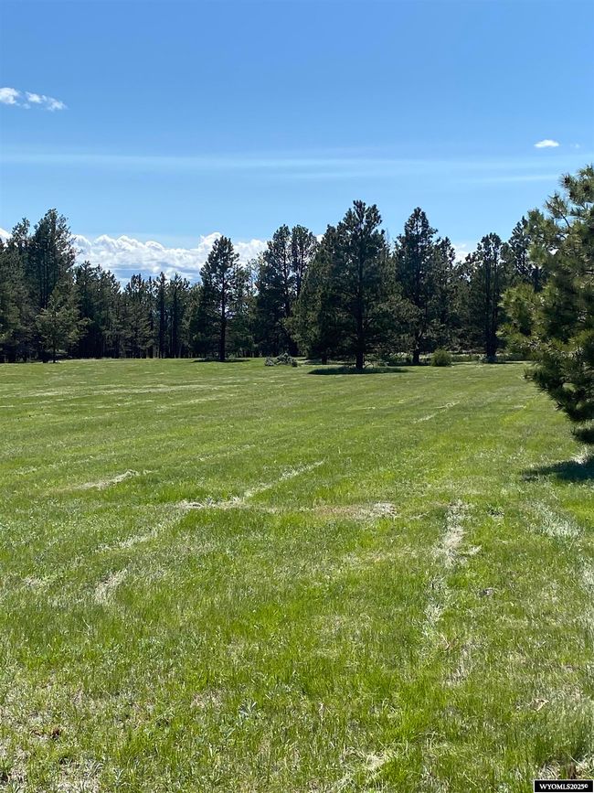 46B Two Pipe Trl, Home with 0 bedrooms, 0 bathrooms and null parking in Sundance WY | Image 5