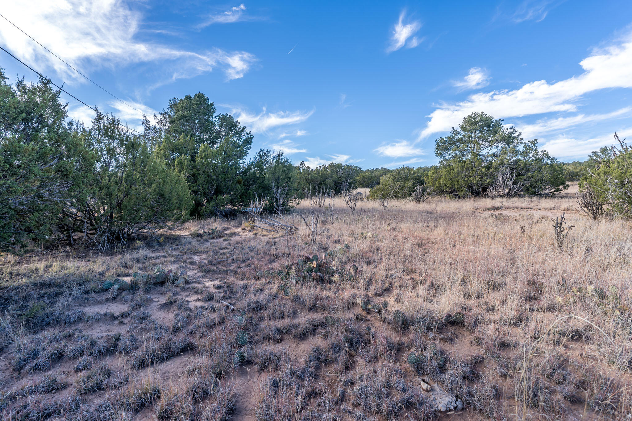 Land in Edgewood