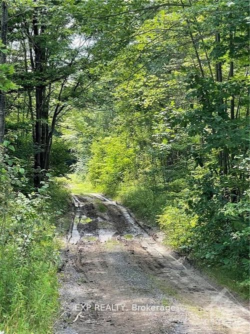 00 B Concession Road 4 Road, Alfred and Plantagenet, ON, K0B1L0 | Card Image