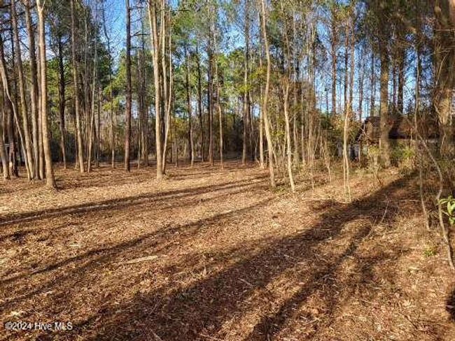 6 Minor Run Rd, Home with 0 bedrooms, 0 bathrooms and null parking in Edward NC | Image 11
