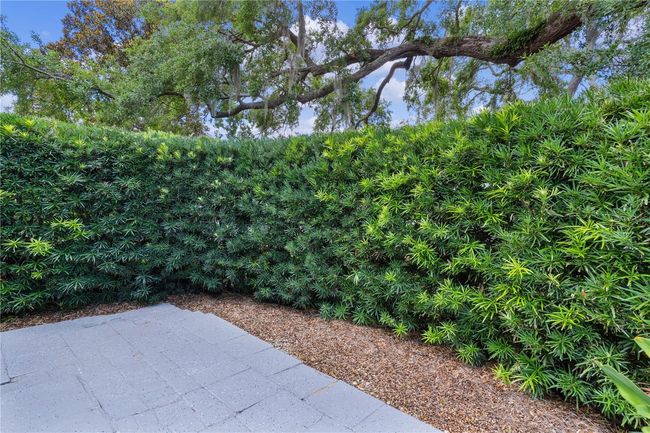 1055 Avenida Sonoma, Townhouse with 3 bedrooms, 3 bathrooms and null parking in LADY LAKE FL | Image 9