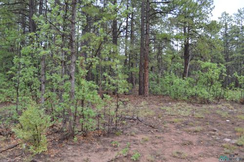 23 Timberlake Rd, Ramah, NM, 87321 | Card Image