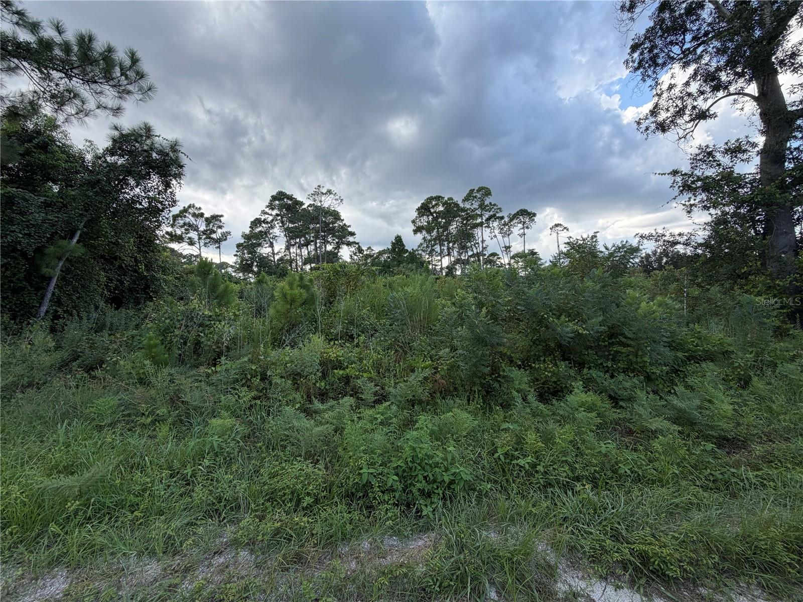 Land in DELAND 3