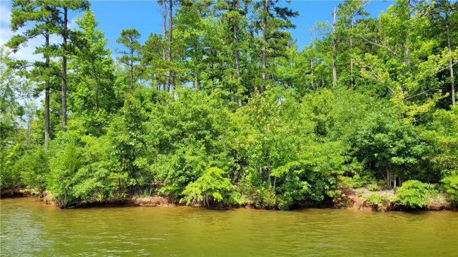 12 Creek Point Dr, Home with 0 bedrooms, 0 bathrooms and null parking in Abbeville SC | Image 10