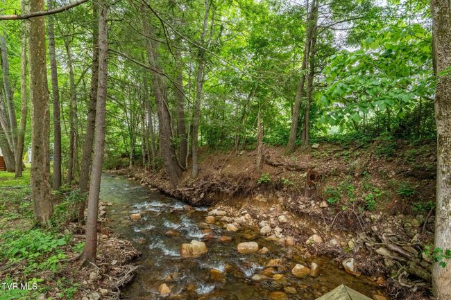 1867 Gentry Creek Rd, House other with 3 bedrooms, 2 bathrooms and null parking in Laurel Bloomery TN | Image 44