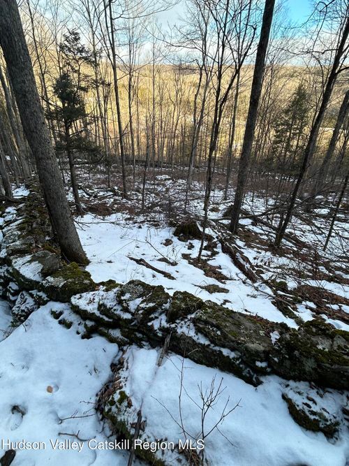 0 County Highway 36, Margaretville, NY, 12455 | Card Image