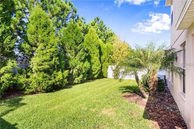 Backyard | Image 42