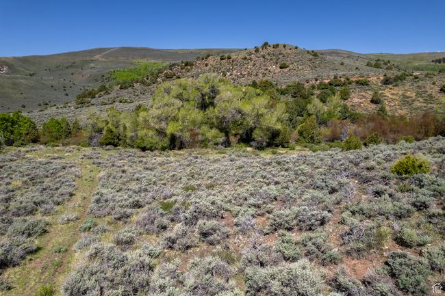 Mountain view | Image 8