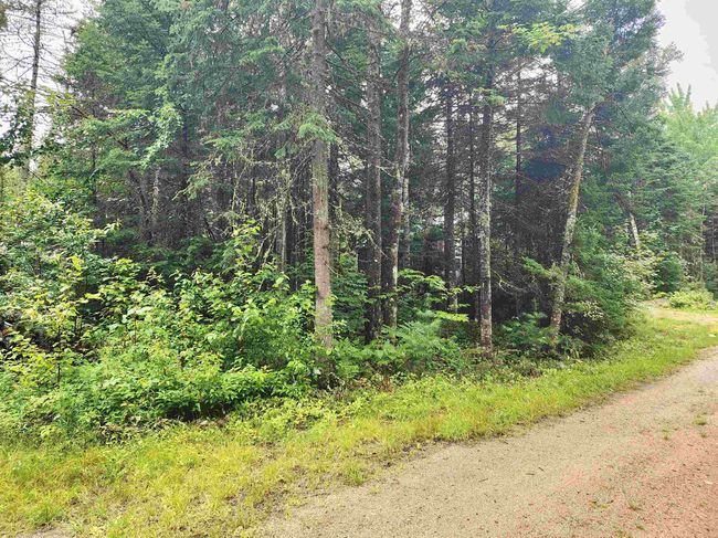 213 Bell Hill Rd, House other with 2 bedrooms, 1 bathrooms and null parking in Stark NH | Image 19