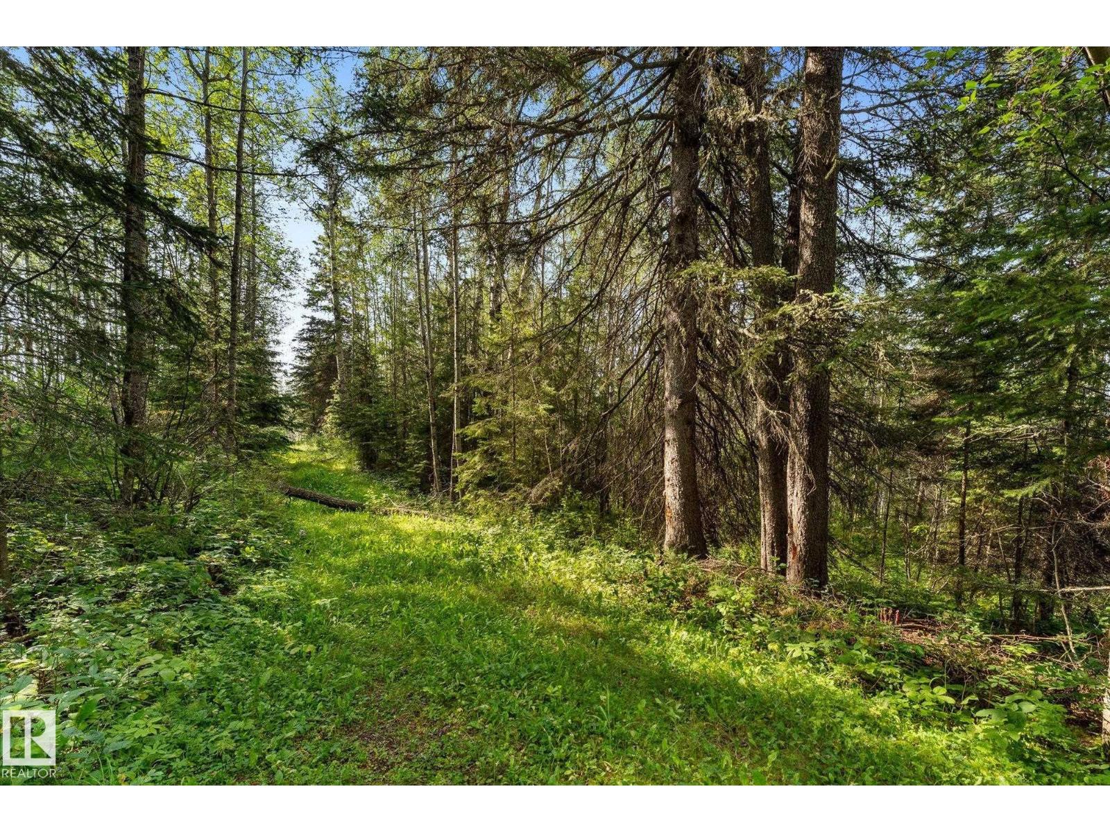 Land in Rural Wetaskiwin County 4