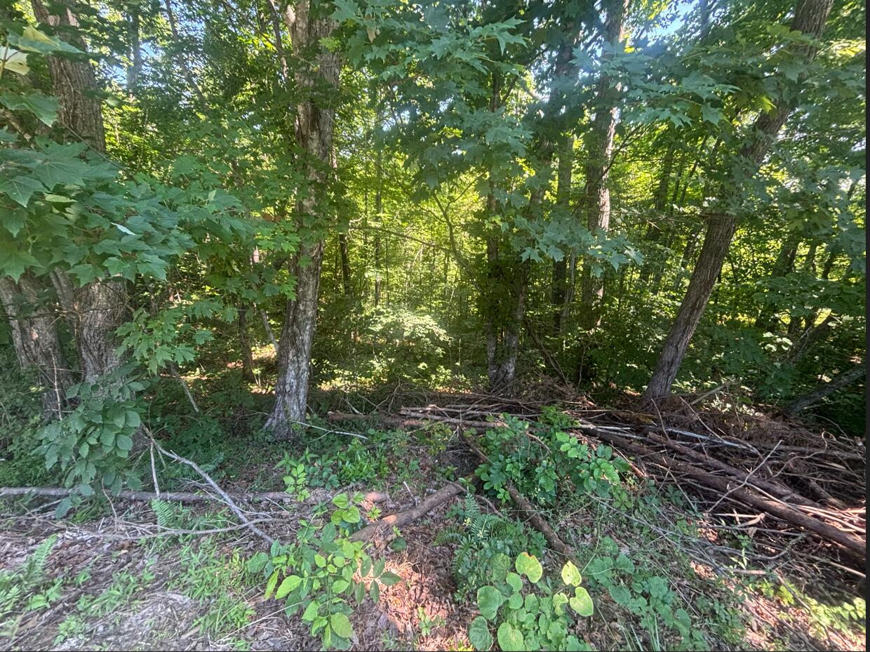 Land in Burnside 2