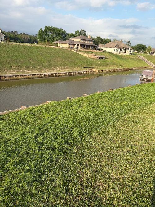 18831 Serene Water Dr, Montgomery, TX, 77356-3704 | Card Image