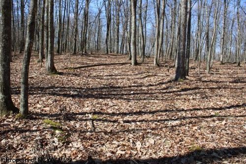 Lot 4 Sand Bank Heights Road, Masontown, WV, 26542 | Card Image