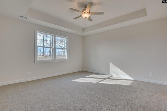 363 Chapin Place Way, House other with 4 bedrooms, 3 bathrooms and null parking in Chapin SC | Image 13