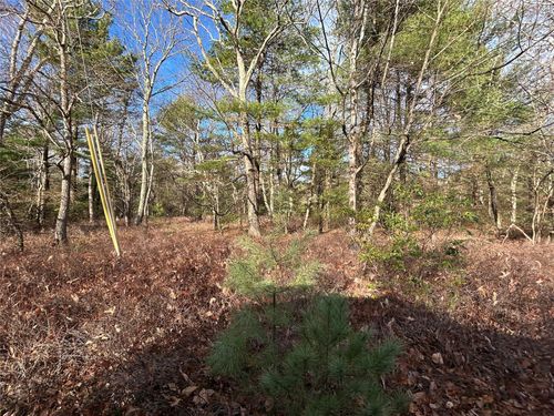 lot-23-23 Kalin Weber Rd, Glen Spey, NY, 12737-6116 | Card Image