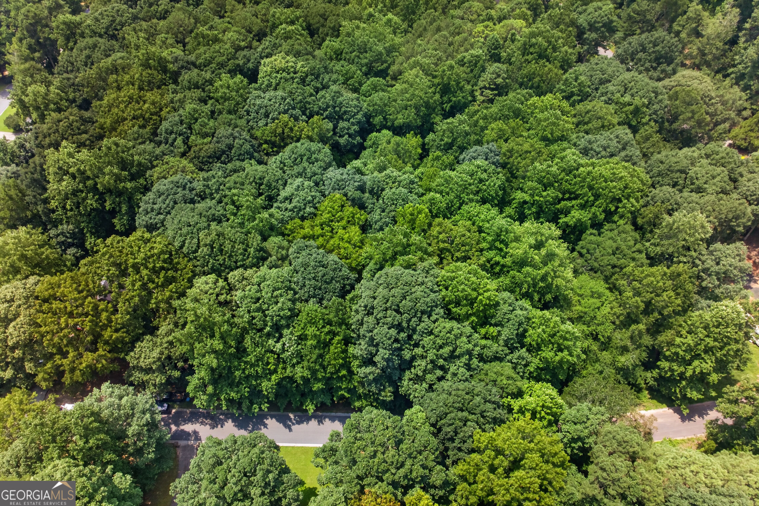 Land in Auburn 2