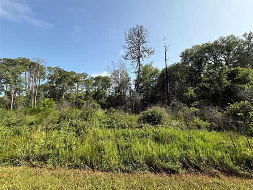 204 Hazel Ave, Georgetown, FL, 32139 | Card Image