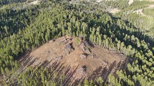 Lot 191 Deer Mountain Rd, Lead, SD, 57754 | Card Image