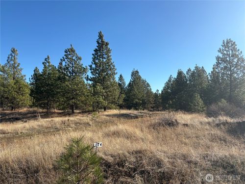 lot-4-35410 Prairie Ln N, Creston, WA, 99117 | Card Image