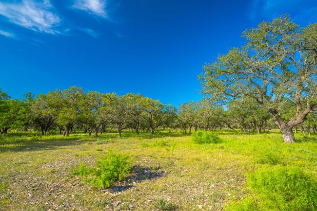 000 S Laird Rd, Home with 0 bedrooms, 0 bathrooms and null parking in Harper TX | Image 18