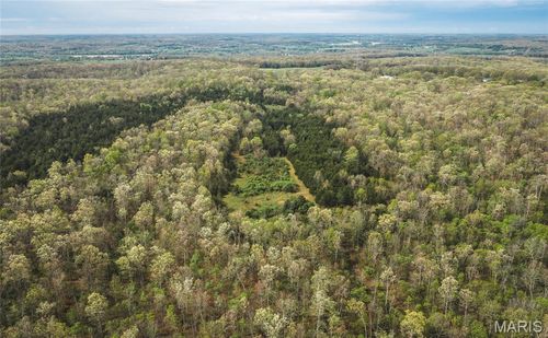 Tract 3 Cleavesville Road, Bland, MO, 65014 | Card Image
