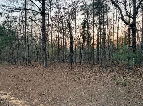 0 County Highway 436, Hamilton, AL, 35570 | Card Image