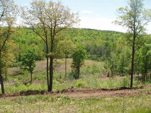 Lot 1 On State Highway 169, Mellen, WI, 54546 | Card Image