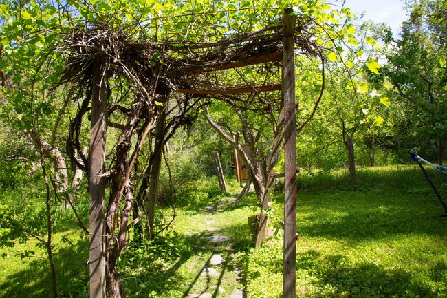 View of undeveloped land | Image 56