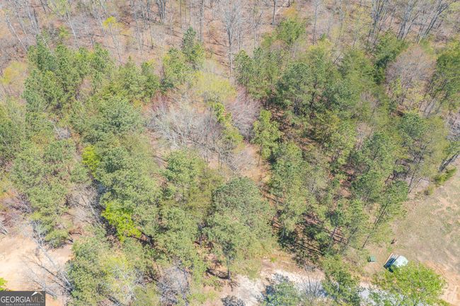 168 State Line Rd, House other with 4 bedrooms, 2 bathrooms and null parking in Cloudland GA | Image 59