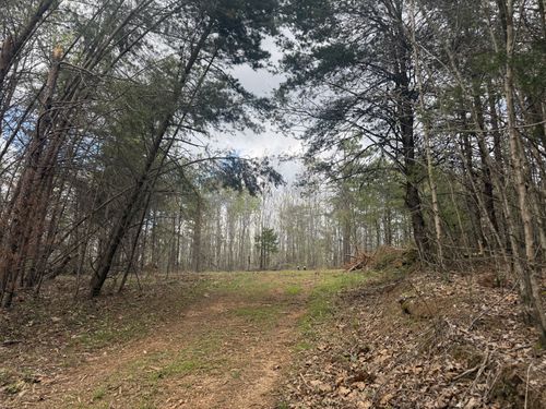 0 Allens Creek Rd, Hohenwald, TN, 38462 | Card Image
