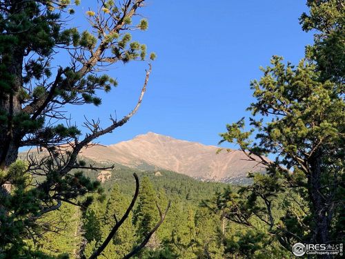 12190 State Highway 7, Allenspark, CO, 80510-9610 | Card Image