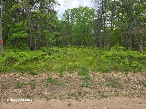 3-0000 S Forman Rd, Baldwin, MI, 49304 | Card Image