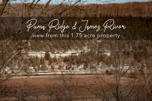 Lot 203 Lone Oak Dr, Cape Fair, MO, 65624 | Card Image