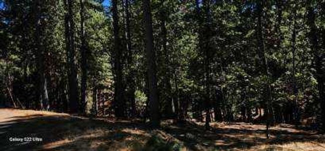 5701 Lupin Lane, Home with 0 bedrooms, 0 bathrooms and null parking in Pollock Pines CA | Image 8