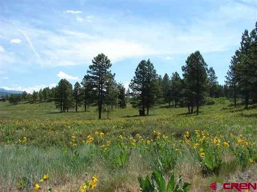146 S Honeysuckle Ave, Pagosa Springs, CO, 81147 | Card Image