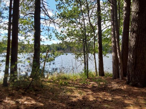 LOT 1 Curtis Lake Dr, MINOCQUA, WI, 54548 | Card Image