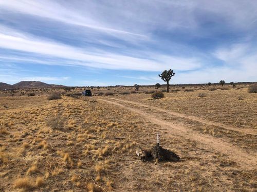 0 218th St W, Lancaster, CA, 93534 | Card Image