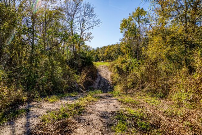 8 Fieldcrest Ln, Home with 0 bedrooms, 0 bathrooms and null parking in Burton TX | Image 9